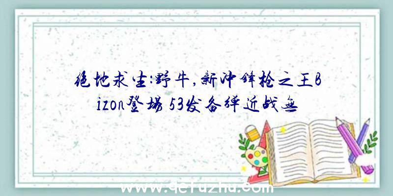 绝地求生:野牛,新冲锋枪之王Bizon登场